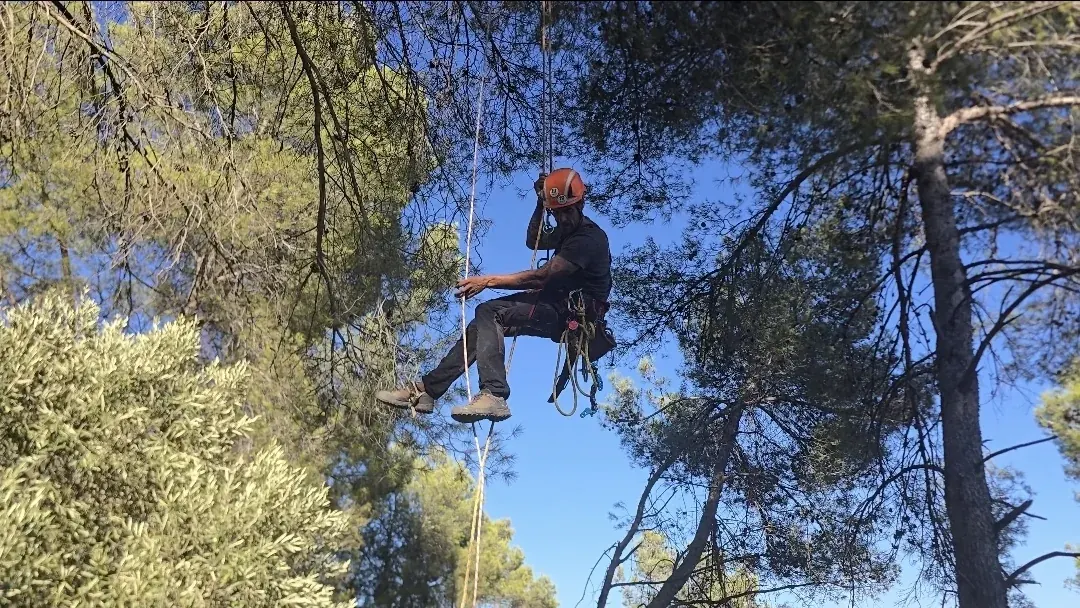Trabajo profesional de jardinería