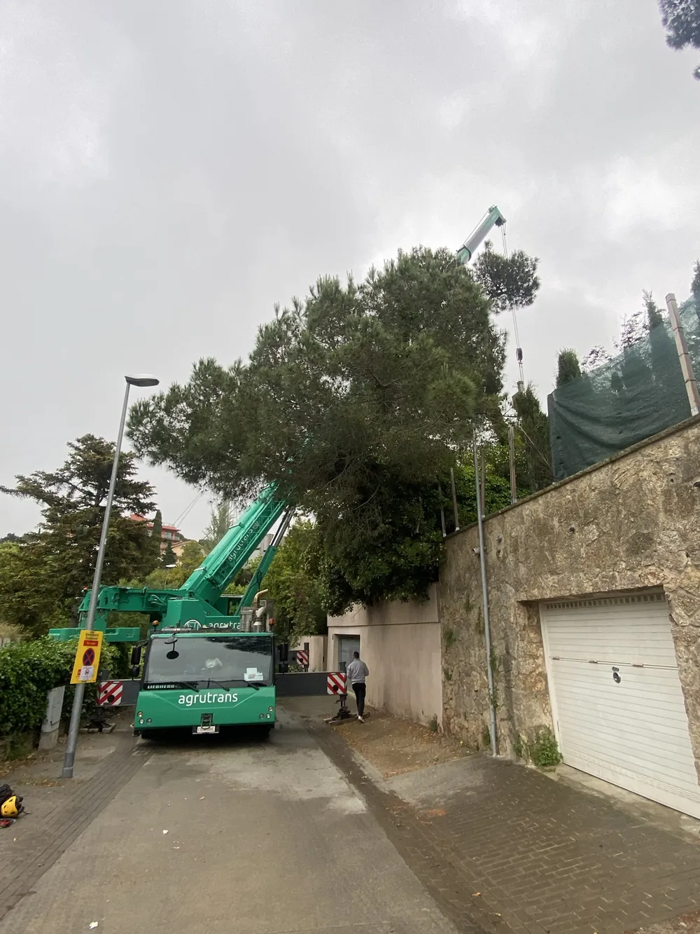 Grúa retirando un pino grande junto a un muro en una urbanización, DAS JARDINS